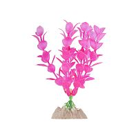 Растение флуоресцирующее GloFish  розовое М 15 см