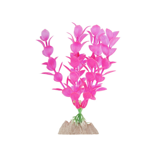 Растение флуоресцирующее GloFish  розовое М 15 см