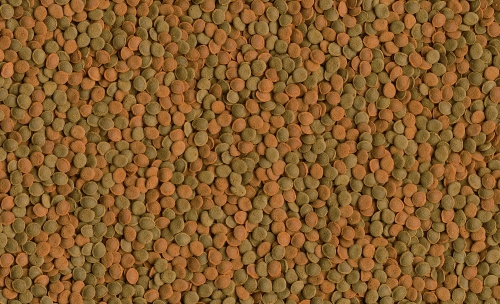 Корм  Tetra Selection 100 мл, 4 вида основного корма для всех видов рыб (хлопья, чипсы, гранулы, вафер микс) фото 8