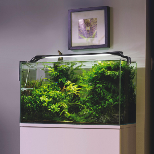 Cветильник светодиодный AQUAEL LEDDY SLIM PLANT 32 Вт черный, для аквариума длиной 80-100 см фото 6