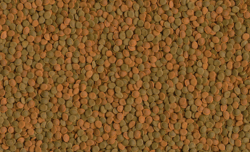 Корм  Tetra Selection 100 мл, 4 вида основного корма для всех видов рыб (хлопья, чипсы, гранулы, вафер микс) фото 6