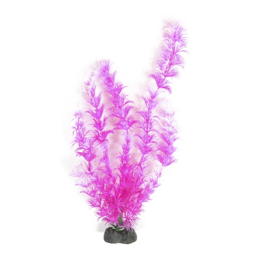 Детальная картинка Набор аквариумных растений 25см Людвигия и Кабомба (5шт в упаковке) фото 7