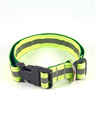 Детальная картинка Ошейник RichPet Light Dog, со светоотражающей стропой, 25мм (обхват шеи: 40-68см), зеленый