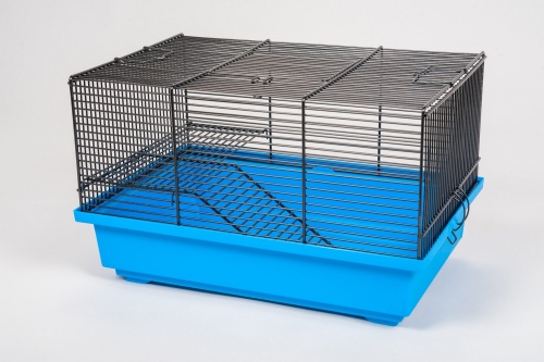 Детальная картинка Клетка InterZoo  G-026 MOUSE SQURE COLOR EKO (360х240х230мм), для грызунов, прут цветной фото 2