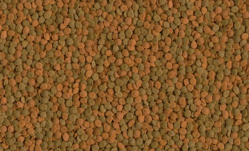 Детальная картинка Корм  Tetra Selection 100 мл, 4 вида основного корма для всех видов рыб (хлопья, чипсы, гранулы, вафер микс) фото 6