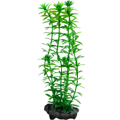 Детальная картинка Растение Tetra DecoArt  Plantastics Anacharis (L) 30 см, с утяжелителем фото 2