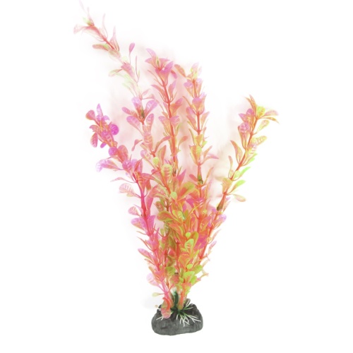 Детальная картинка Набор аквариумных растений 25см Людвигия и Кабомба (5шт в упаковке) фото 6