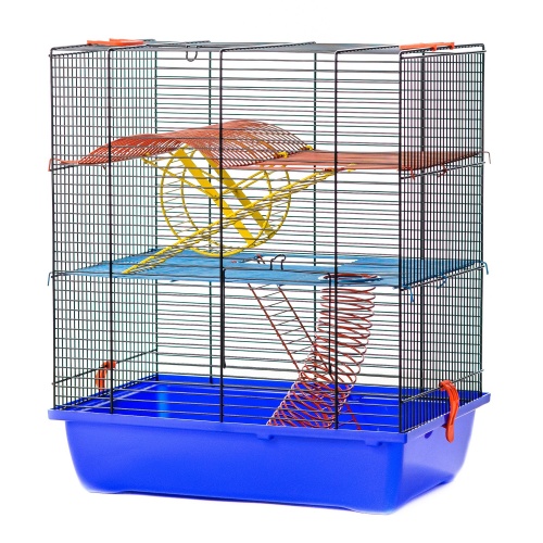 Детальная картинка Клетка InterZoo  G-046 GINO II + EQUIPMENT (420х290х490мм), для грызунов
