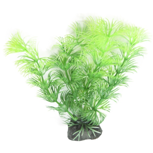 Детальная картинка Набор аквариумных растений 16см Людвигия и Кабомба (5шт в упаковке) фото 4