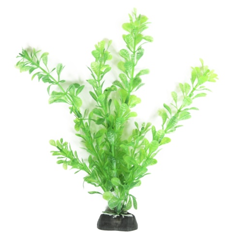 Детальная картинка Набор аквариумных растений 25см Людвигия и Кабомба (5шт в упаковке) фото 4