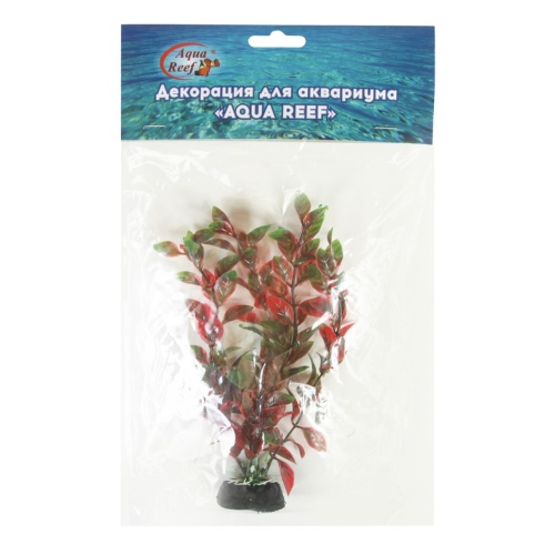 Детальная картинка Набор аквариумных растений 22см Людвигия и Кабомба (5шт в упаковке) фото 3