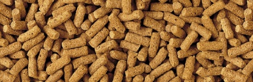 Детальная картинка Корм Tetra Pond Wheatgerm Sticks 1 л, палочки, для кормления прудовых рыб при температурах ниже 10 градусов фото 4