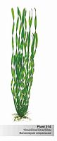 Картинка анонса Пластиковое растение Валиснерия спиральная 30см BARBUS Plant 014/30