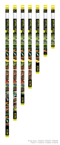 Детальная картинка Лампа EXO TERRA REPTILE UVB100 Т8 25 Bт 74,22 см (замена R.Glo 5.0 25Вт), cреднее излучение), для водных черепах и тропических/субтропических рептилий фото 2