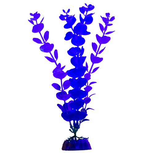 Детальная картинка Растение флуоресцирующее GloFish L 29 см синее (меняет цвет в УФ-свете) фото 3