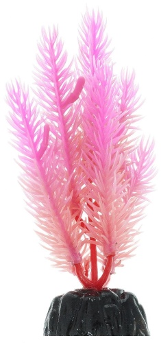 Детальная картинка Светящееся в темноте пластиковое растение Перестолистник 10см BARBUS Plant 058/10 фото 2