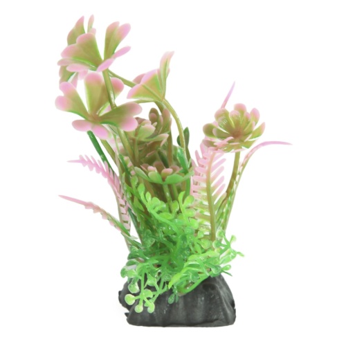 Детальная картинка Набор аквариумных растений 16см Людвигия и Кабомба (5шт в упаковке) фото 2