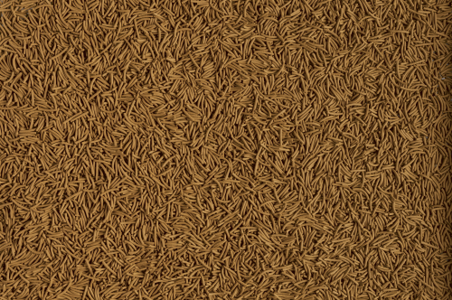 Детальная картинка Корм Tetra Cichlid XL Sticks 500 мл, палочки для крупных цихлид и декоративных рыб фото 3
