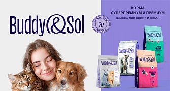 Новинка! Корма для кошек и собак Buddy&Sol