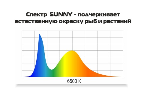 Детальная картинка Аквариум AquaPlus STD LED Ф70 дуб (61х32х45 см) стекло 5 мм, фигурный, 59 л., со светодиодным модулем LEDDY TUBE Retro Fit Sunny 10 W / 420 мм фото 6