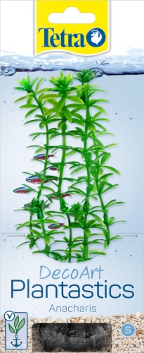 Детальная картинка Растение Tetra DecoArt  Plantastics Anacharis (S) 15см, с утяжелителем