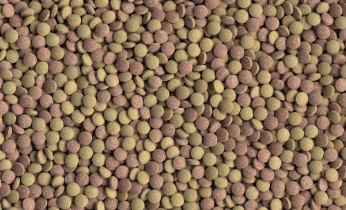 Детальная картинка Корм Tetra Tablets TabiMin 2050табл. / 1000 мл / 620 г, таблетки для донных рыб фото 4