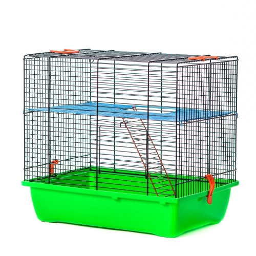 Детальная картинка Клетка InterZoo  G-041 GINO I EKO (420х290х380мм), для грызунов фото 2