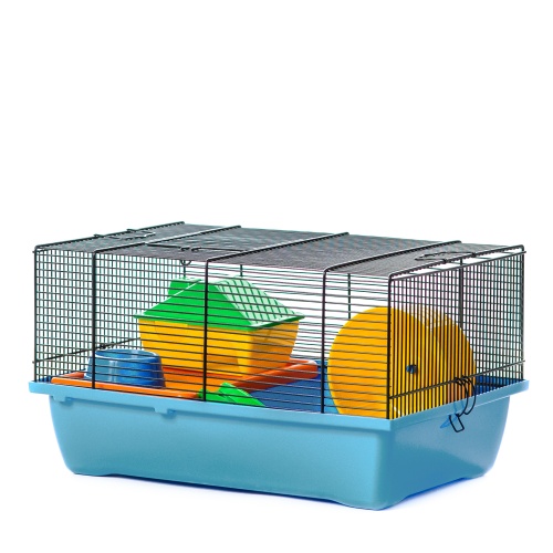 Детальная картинка Клетка InterZoo  G-027 GINO MINI MOUSE (420х290х230мм), для грызунов