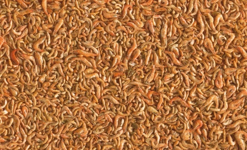 Детальная картинка Корм для прудовых рыб Tetra Pond Shrimp Mix 1 л, с креветкой и гаммарусом фото 3