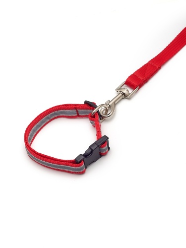 Детальная картинка Ошейник c поводком RichPet Light Dog 20 мм (поводок длина 1,5м, обхват шеи: 32-50см), красный