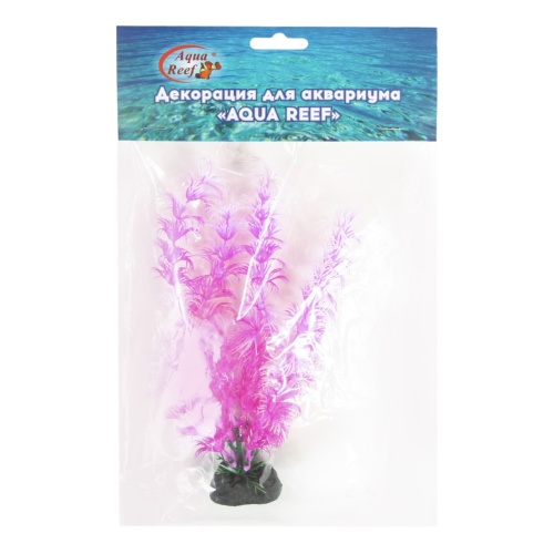 Детальная картинка Набор аквариумных растений 22см Людвигия и Кабомба (5шт в упаковке) фото 6