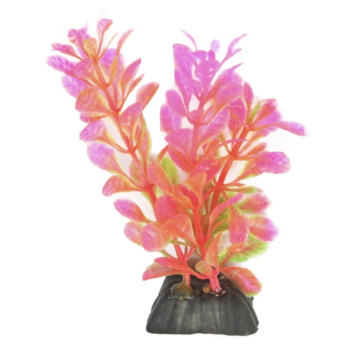 Детальная картинка Набор аквариумных растений 16см Людвигия и Кабомба (5шт в упаковке) фото 7