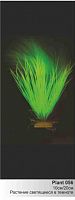 Светящееся в темноте пластиковое растение Акорус 20см BARBUS Plant 056/20