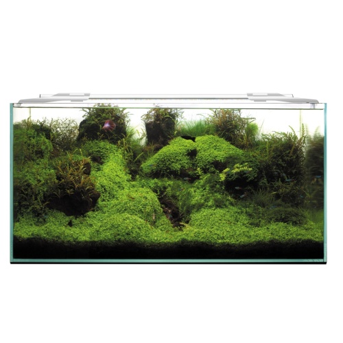 Детальная картинка Cветильник светодиодный AQUAEL LEDDY SLIM 32W PLANT 2.0 белый, для аквариума длиной 80 - 107см фото 5