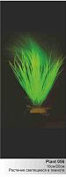 Картинка анонса Светящееся в темноте пластиковое растение Акорус 20см BARBUS Plant 056/20