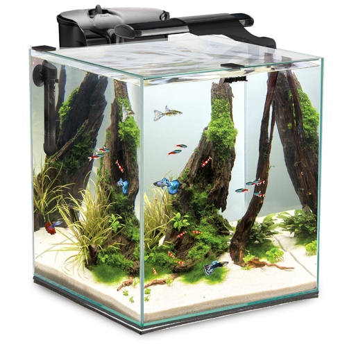 Детальная картинка Aквариум AQUAEL FISH&SHRIMP SET DUO D&N 35 черный (49 л), 35х45х45 см  (со светильником и фильтром) фото 2