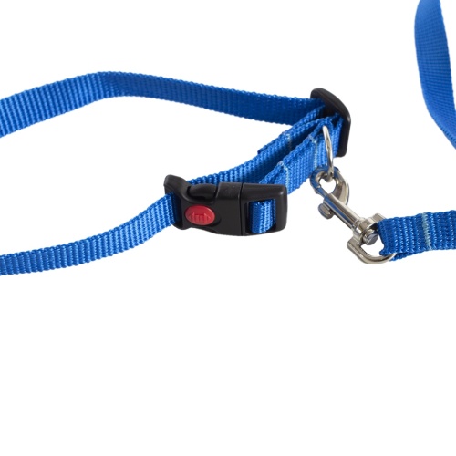 Детальная картинка Ошейник с поводком RichPet Standart 15мм (поводок длина 170см, обхват шеи:25-40см), синий фото 2