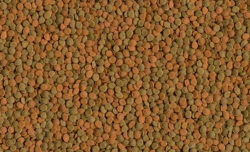 Детальная картинка Корм  Tetra Selection 100 мл, 4 вида основного корма для всех видов рыб (хлопья, чипсы, гранулы, вафер микс) фото 8