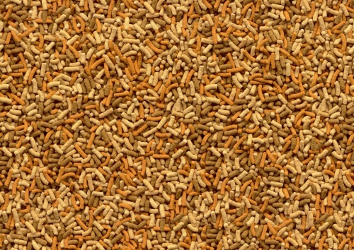 Детальная картинка Корм Tetra Pond Variety Sticks 7 л, смесь из 3-х видов палочек для всех видов прудовых рыб фото 4