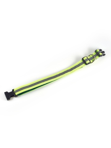 Детальная картинка Ошейник RichPet Light Dog, со светоотражающей стропой, 25мм (обхват шеи: 40-68см), зеленый фото 4
