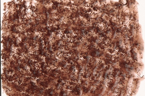Детальная картинка Корм Tetra FreshDelica Bloodworms 48 г (желе/ мотыль), натуральное лакомство для всех видов рыб  фото 3