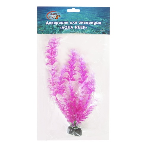 Детальная картинка Набор аквариумных растений 25см Людвигия и Кабомба (5шт в упаковке) фото 5