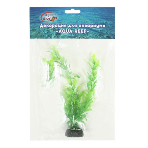 Детальная картинка Набор аквариумных растений 22см Людвигия и Кабомба (5шт в упаковке) фото 4